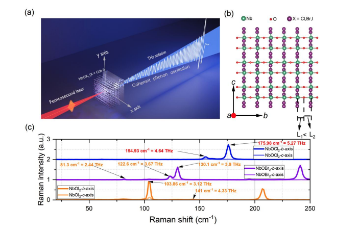 Giant Ferrons Generate Ultralow-Power Terahertz Emission with Quality Factors up to 228