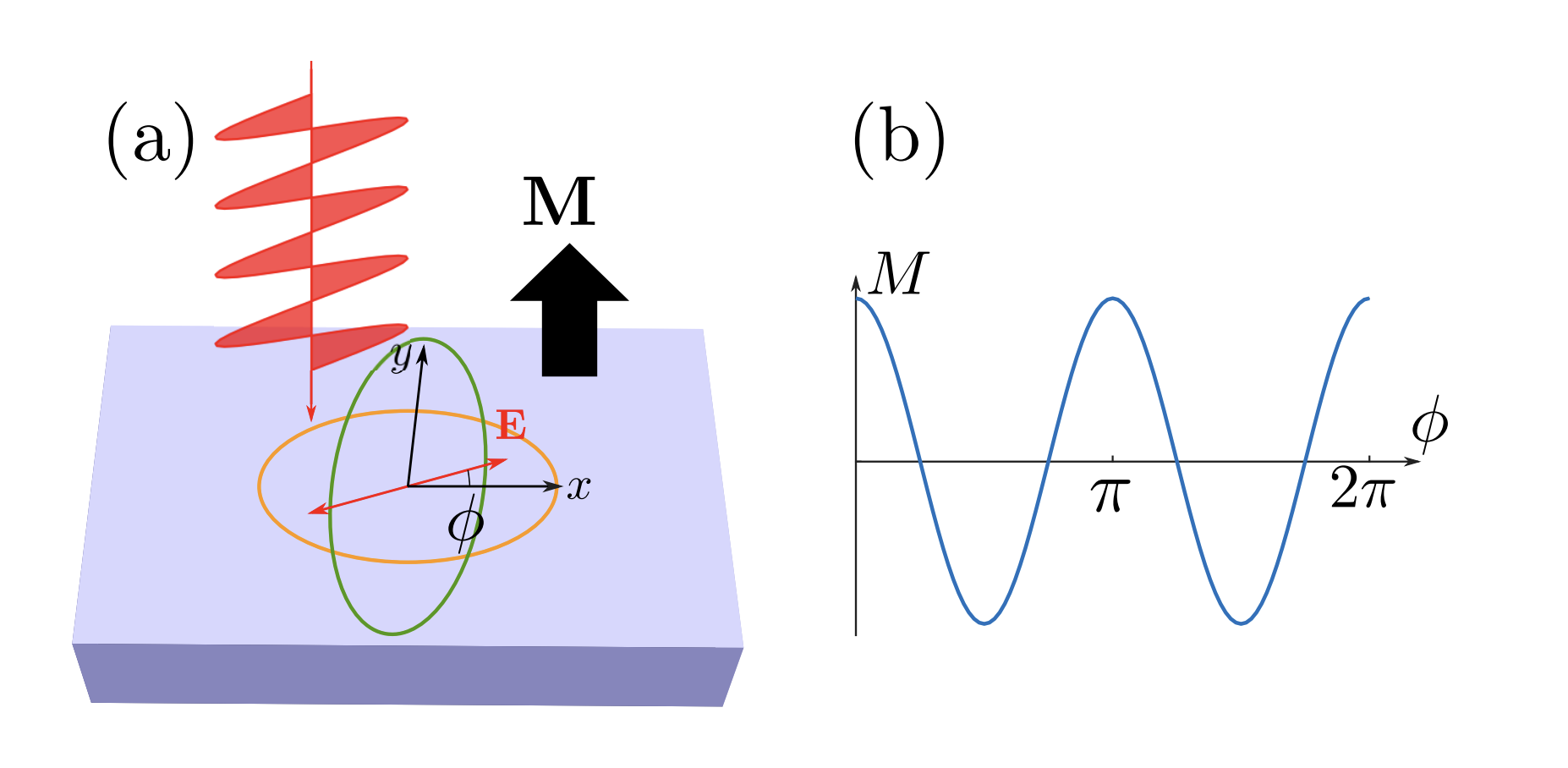 Light Controls Magnetism in Novel Altermagnetic Materials