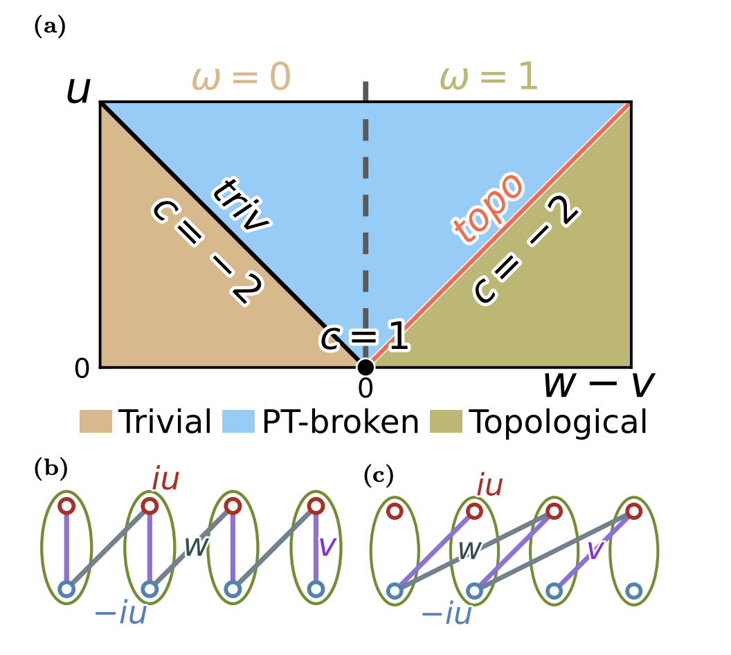 Pt Symmetry Enriches Non-Hermitian Criticality, Revealing Robust Topological Edge Modes and Imaginary Entropy Scaling