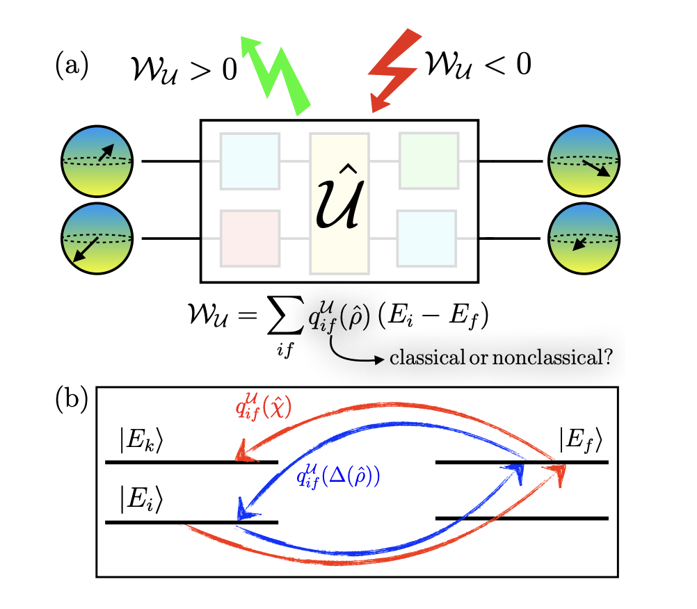 Quantum Coherence Enables Anomalous Work Extraction in Qubit Gate Dynamics, Revealing Circuit-Level Statistics
