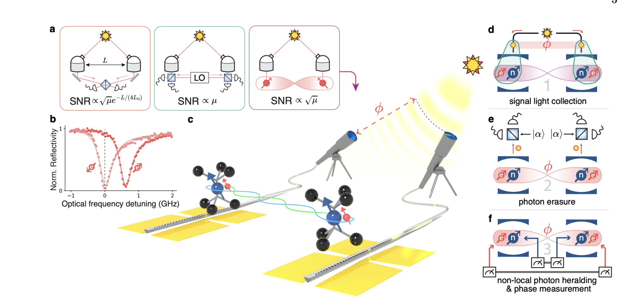 Quantum Network Demonstrates Entanglement-Assisted Non-local Optical Interferometry for Improved Low-Light Measurements