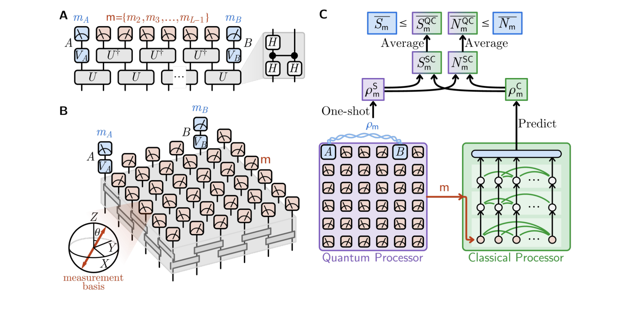 Machine Learning Detects Measurement-induced Entanglement in Arrays of Qubits, Enabling Characterisation of Long-range Quantum Effects