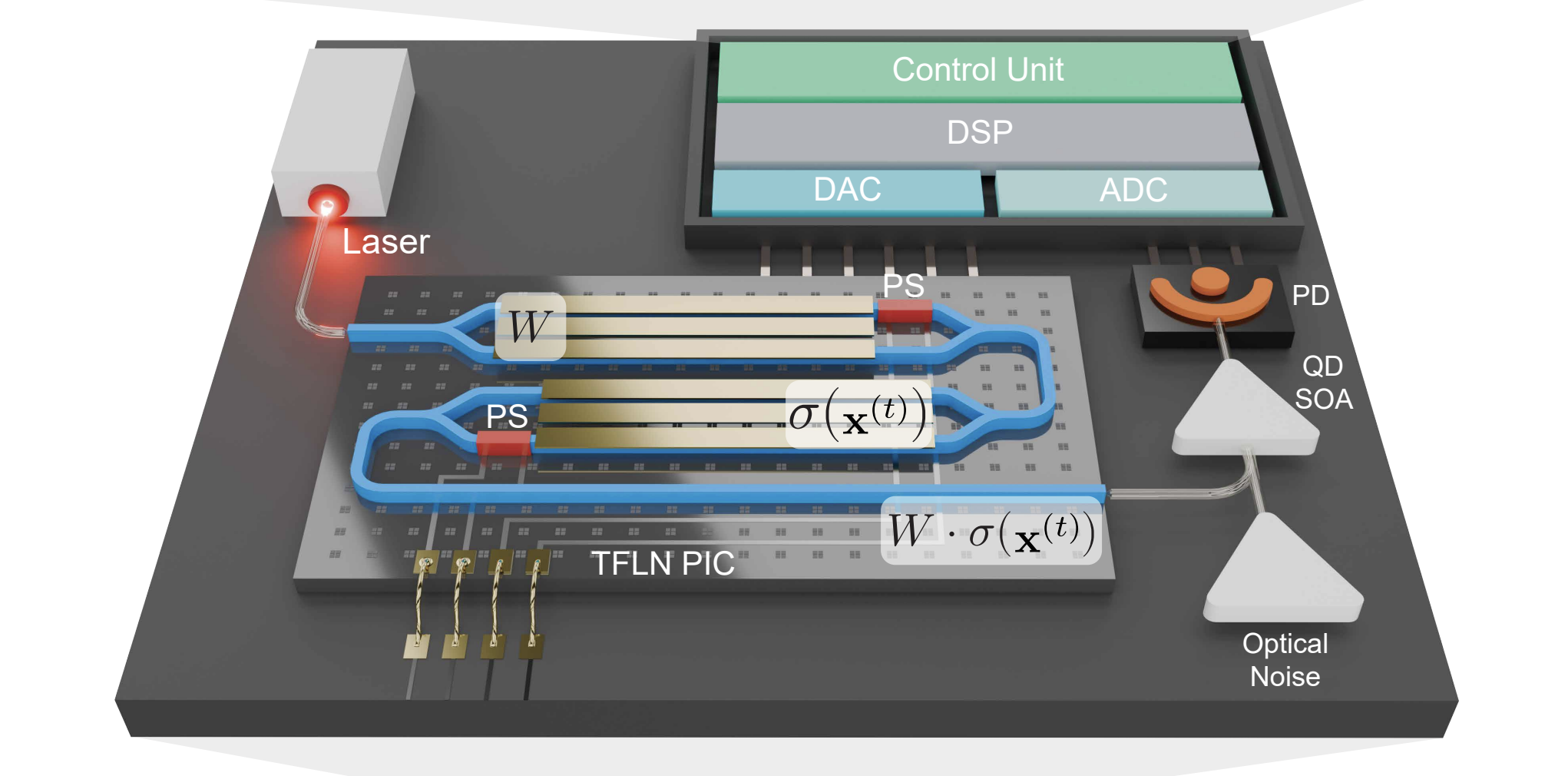 256-spin Photonic Ising Machine Achieves Programmable 200 GOPS Performance at Room Temperature