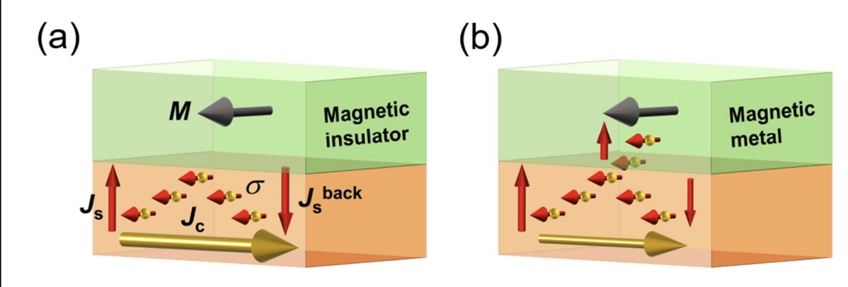 Spin Hall Magnetoresistance Enhanced with 71% Correction to 0.12 Spin Hall Angle
