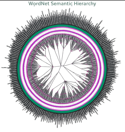 P-adic Neural Networks Represent Hierarchies with Transparent Ultrametric Representation Learning