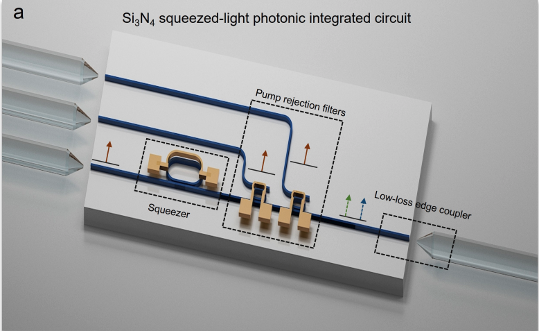 Wafer-scale Squeezed-Light Chips Generate Reproducible Strong Squeezing for Continuous-Variable Information Processing
