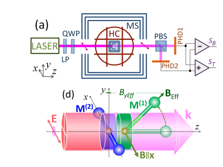 Cesium Vapor Demonstrates Bistability Due to Collective Alignment and Orientation under Strong Spin Exchange