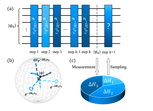 Fluctuation-guided Adaptive Random Compiler Enhances Hamiltonian Simulation Fidelity by Dynamically Updating Sampling Probabilities