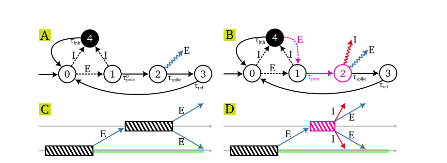 Predictive Spike Timing Enables Distributed Shortest Path Computation in Spiking Neural Networks