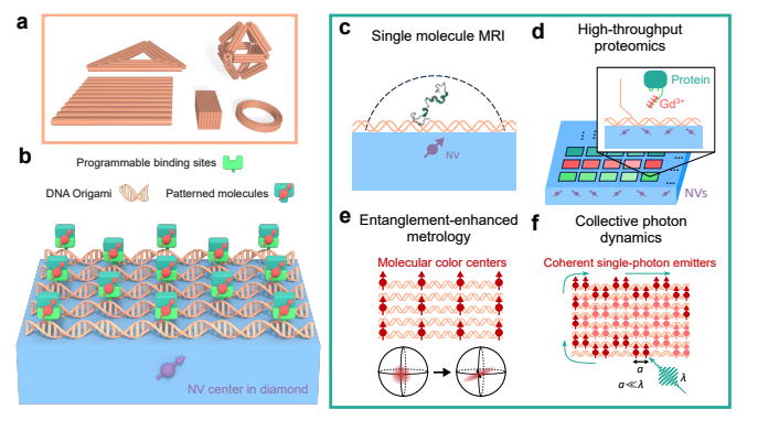 DNA Origami Enables Programmable 2D Spin Arrays for Quantum Technologies and Sensing Applications