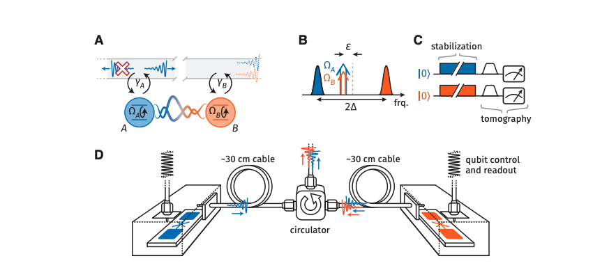 Quantum Network Stabilizes Remote Entanglement with Autonomous Control, Achieving Steady-State Concurrence of 0.5