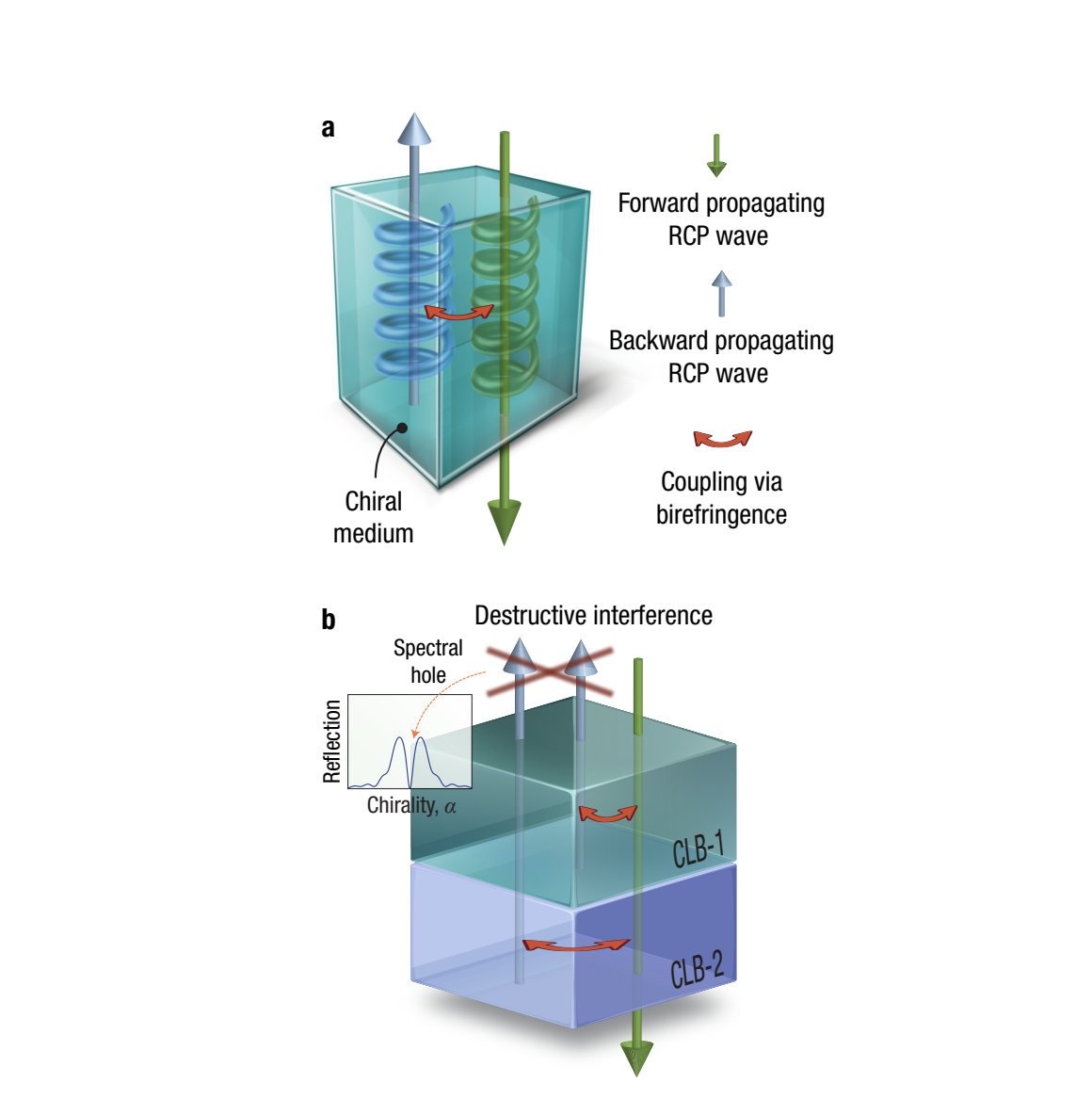 Chirality-driven All-optical Image Differentiation Enables Ultrafast Processing Without Resonant Structures or Wavelength Limitations