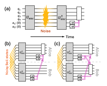 Efficient Entanglement Purification Circuit Design Enables High-Fidelity States in Dual-Species Atom Arrays