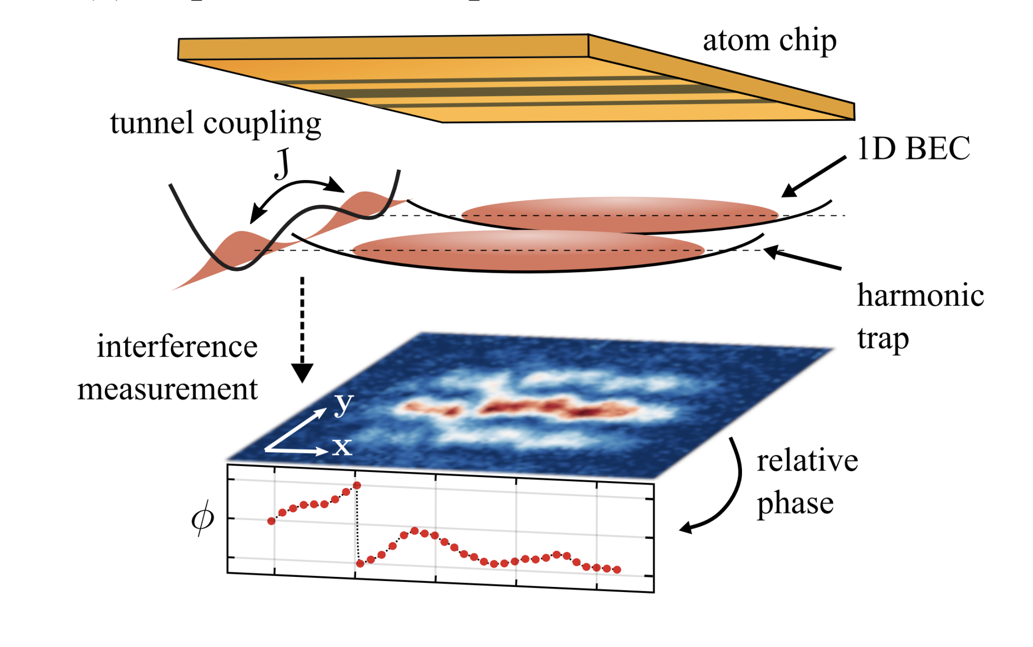 Machine Learning Learns Minimal Representations of Quantum Many-Body Physics from Tunnel-Coupled Bose Gas Snapshots
