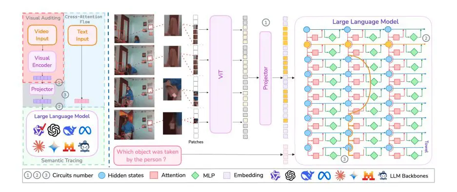 Circuit Analysis Reveals Localised Visual Semantics in Large Vision-Language Models
