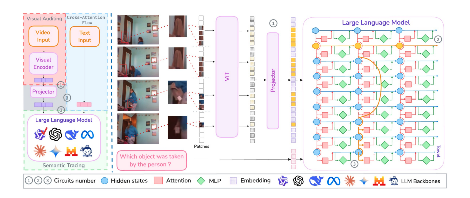 Circuit Analysis Reveals Localised Visual Semantics in Large Vision-Language Models