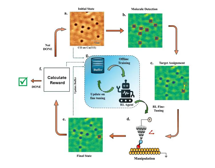 RL Automates Atomic Structure Creation
