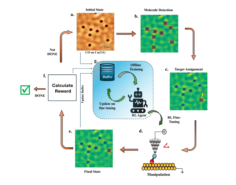 Reinforcement Learning Automates Atomic Structure Creation with Scanning Tunneling Microscopy