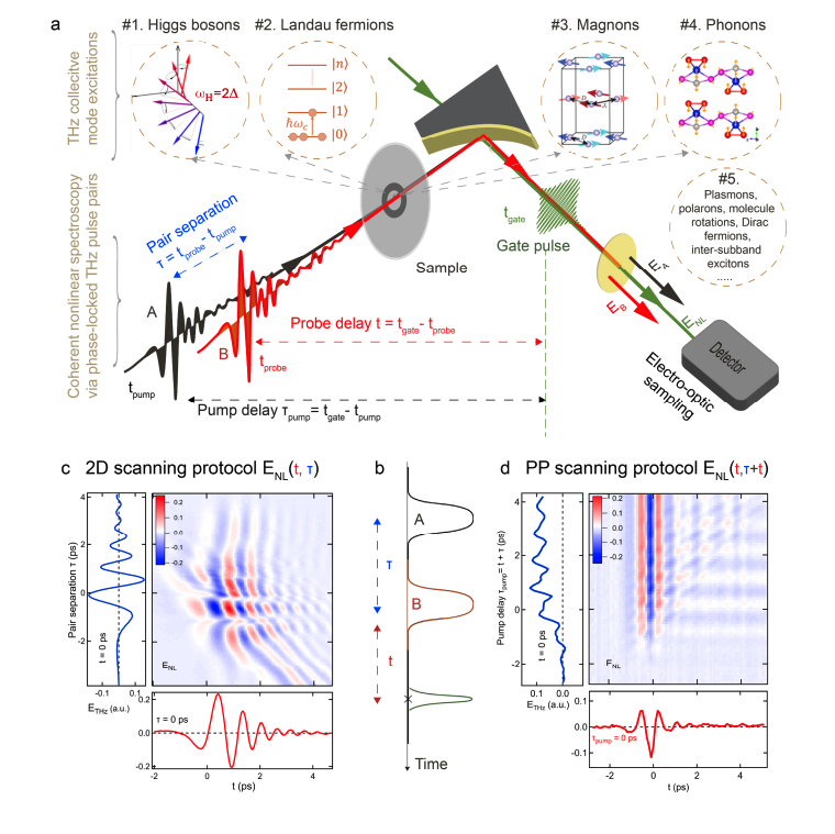 Terahertz Spectroscopy Visualises Material Dynamics, Enabling Advanced Material Design.