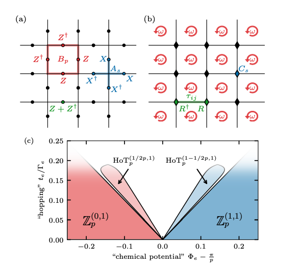 Toric Code Reveals New Topological Phases, Hall-Like States Emerge