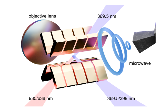 Trapped Ions Reveal Universal Quench Scaling and Defect Statistics