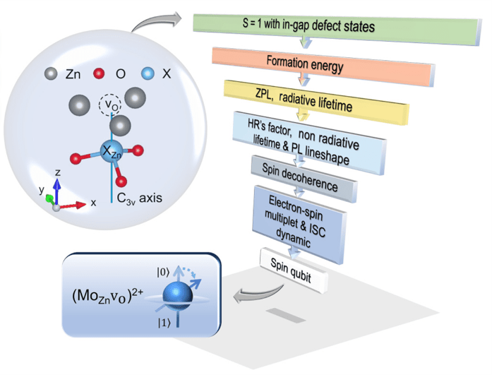 Zinc Oxide Hosts First Molybdenum-Vacancy Spin Qubit