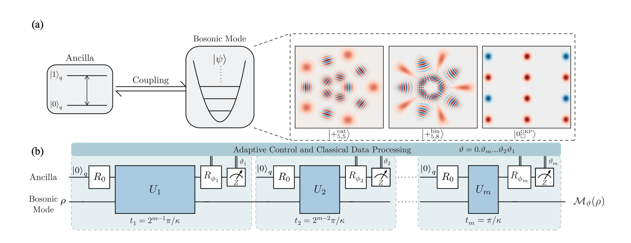 Quantum algorithm detects bosonic codes with Heisenberg limit precision.