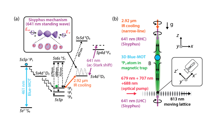 Ultracold Strontium Atoms Cooled and Controlled for Advanced Sensing Applications.