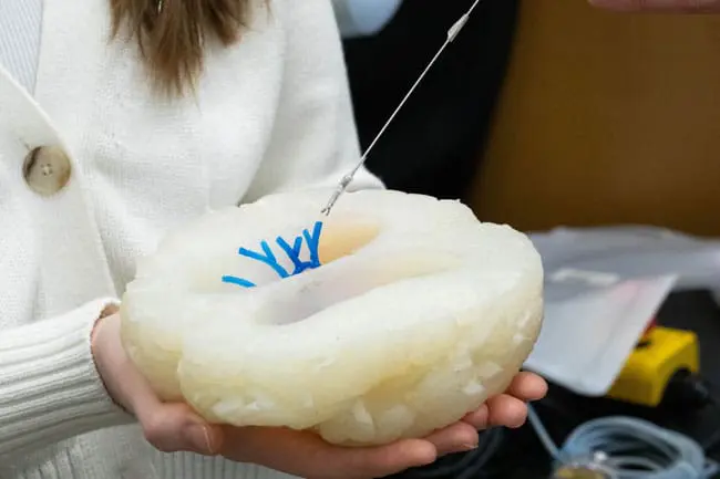 Tiny Robotic Tools Powered by Magnetic Fields Could Revolutionize Minimally Invasive Brain Surgery