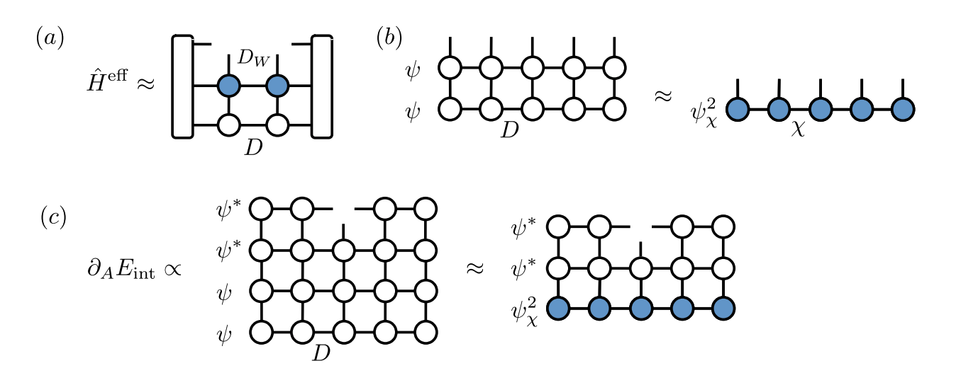 Quantum Tensor Networks Efficiently Simulate Bose-Einstein Condensate Dynamics