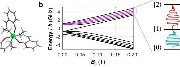 How 173Yb(trensal) Qudit Achieved Coherence in Quantum Algorithms