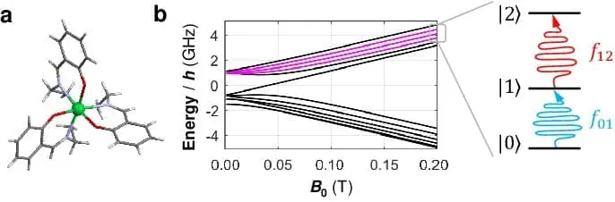 How 173Yb(trensal) Qudit Achieved Coherence in Quantum Algorithms