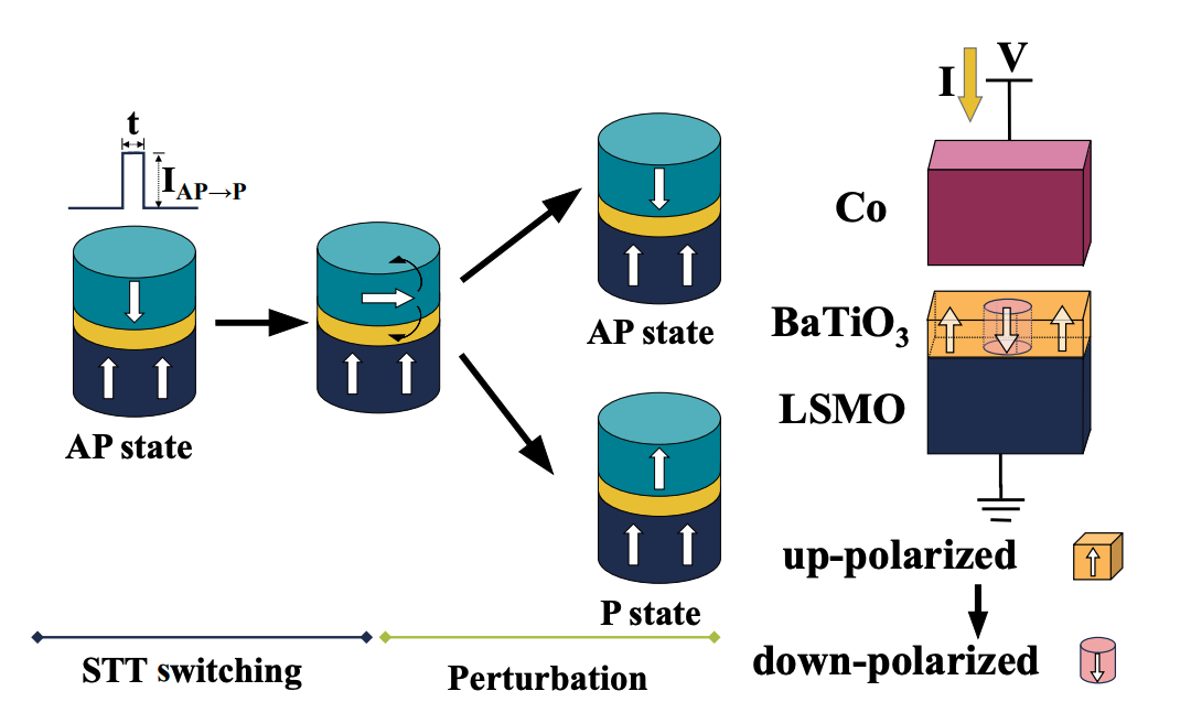 NeuroPDE: New hardware accelerates solutions to complex partial equations