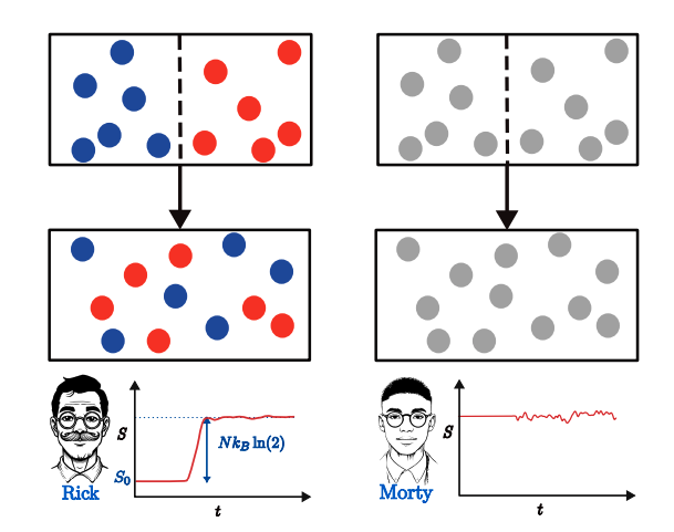 Gas Mixing Entropy: Observer-Dependent Insights