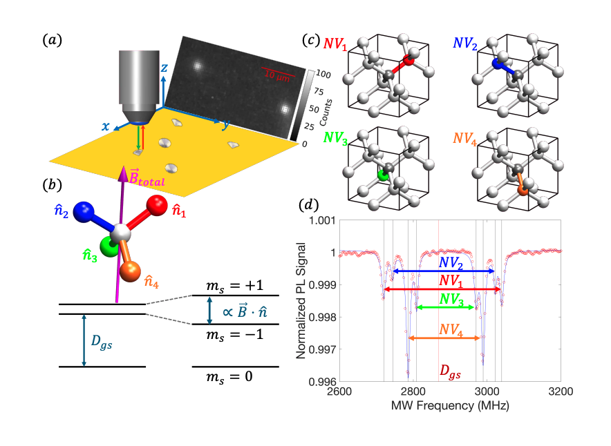 Nanodiamonds’ Magnetic Field Mapping Improves Biomedical Imaging Calibration