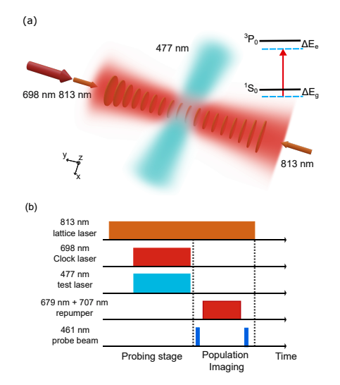Strontium Atomic Clocks Gain Precision with Shorter