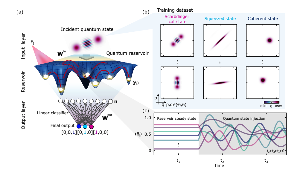 Quantum Neural Networks Show Performance Peaks with Carefully Scaled Bosonic Modes.