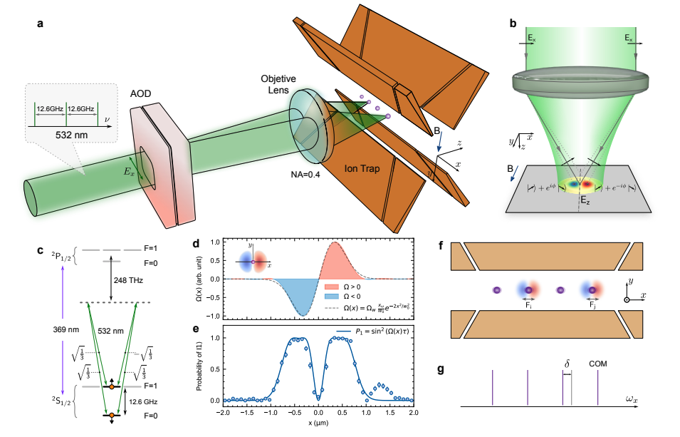 Trapped Ion Quantum Computation Advances with Individual Addressing Technique.