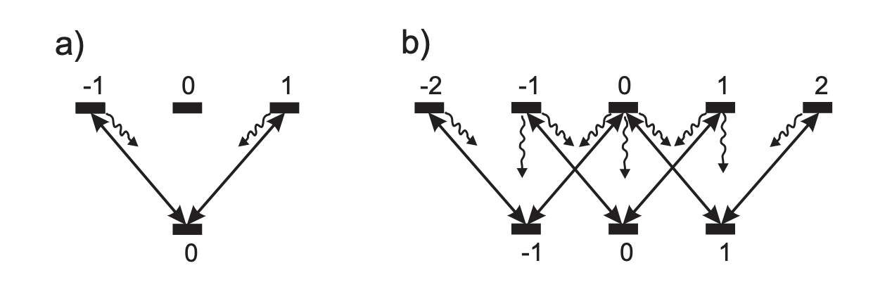 Theory Reveals Non-Equilibrium Dynamics in Magneto-Optical Atom Traps and Spatial Distribution.
