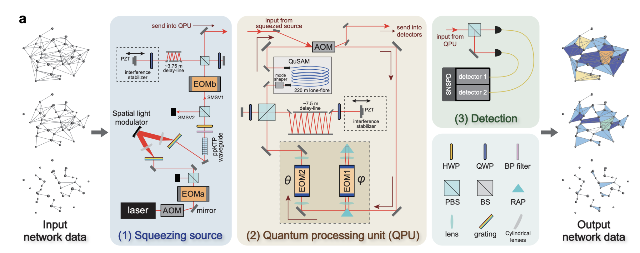 Programmable Photonics Enables Complex Networks