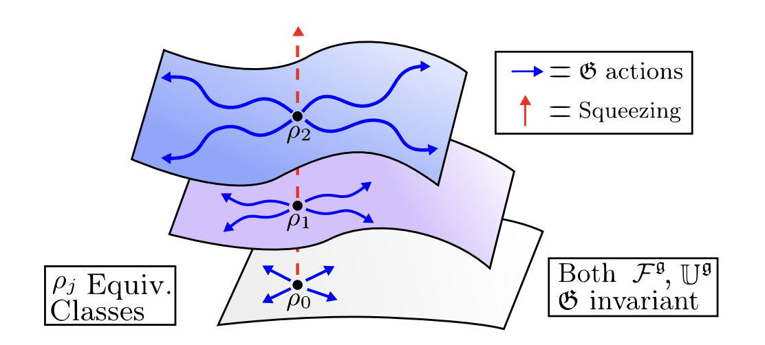 Fisher Information Spectrum Remains Constant Under Symmetry-Preserving Quantum Dynamics