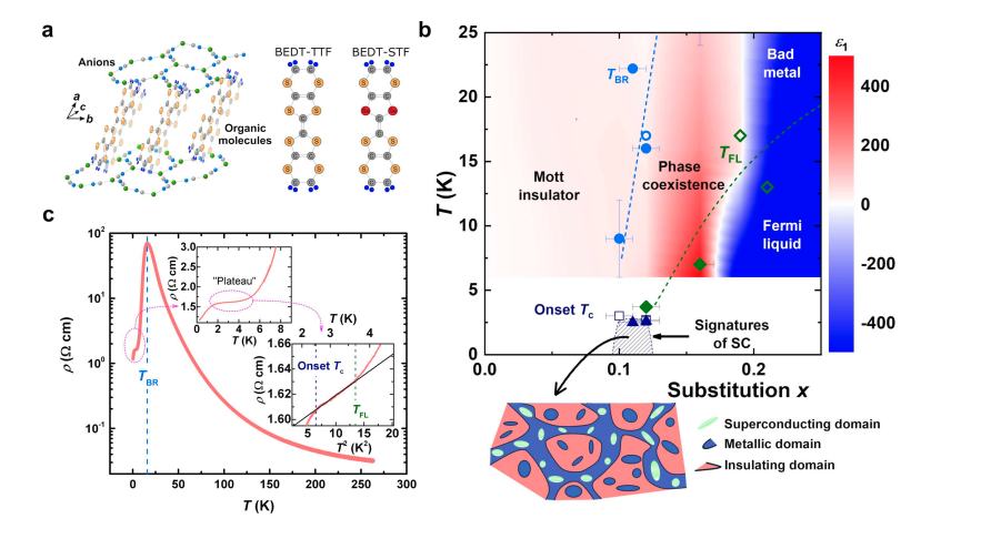 Superconducting Domains Emerge in Organic Mott Insulator Near Fermi Liquid Transition
