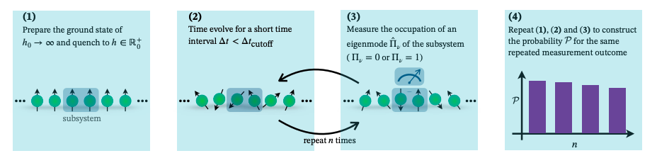 Quantum Measurement Protocol Tests Reality Against Continuous Dynamics Predictions.