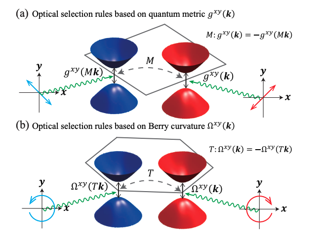 Metric Geometry Dictates Optical Selection Rules and Valley Contrast in 2D Materials