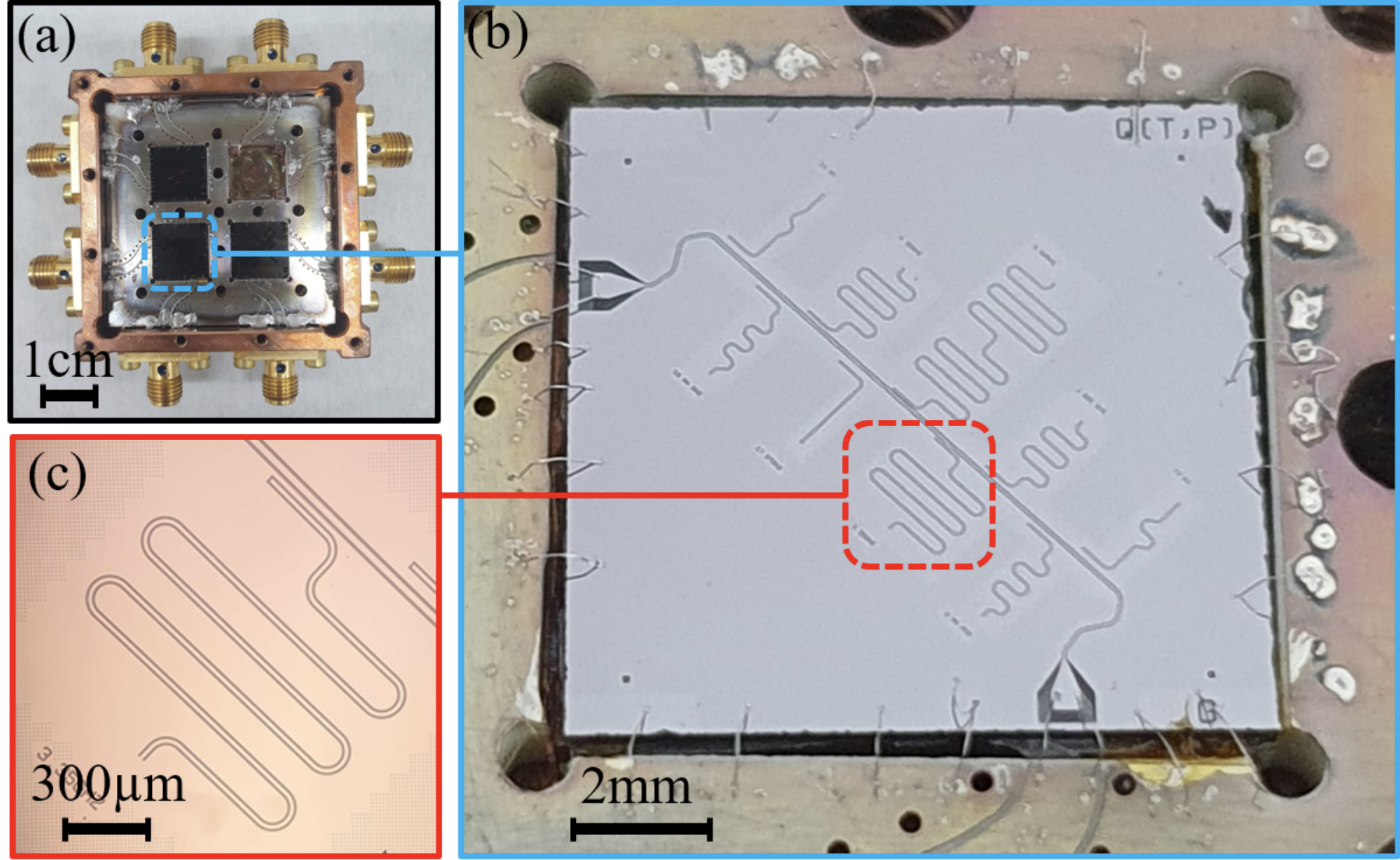 Understanding Loss In Superconducting Qubits