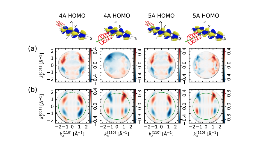 Molecular Symmetry Dictates Circular Dichroism in Photoelectron Angular Distributions