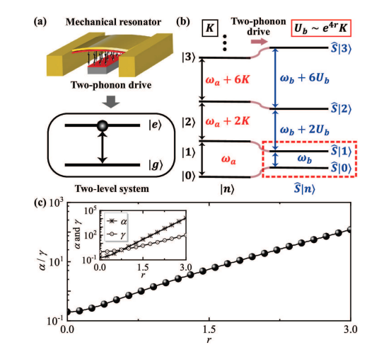 Squeezed Phonon States Enhance Anharmonicity and Qubit Control in Mechanical Oscillators