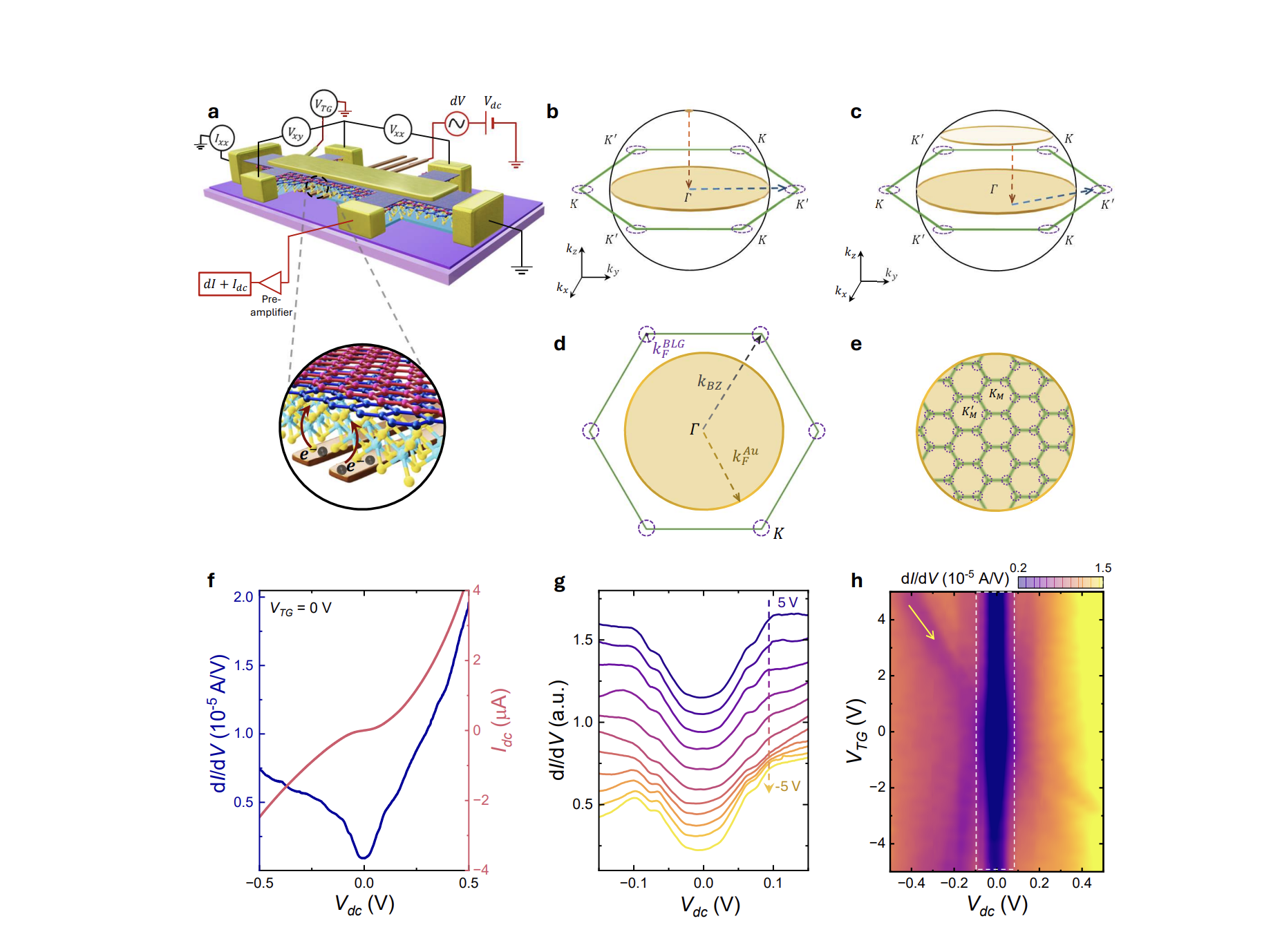 Planar Tunneling Spectroscopy Reveals Enhanced Electron-Phonon Coupling in Twisted Bilayer Heterostructures