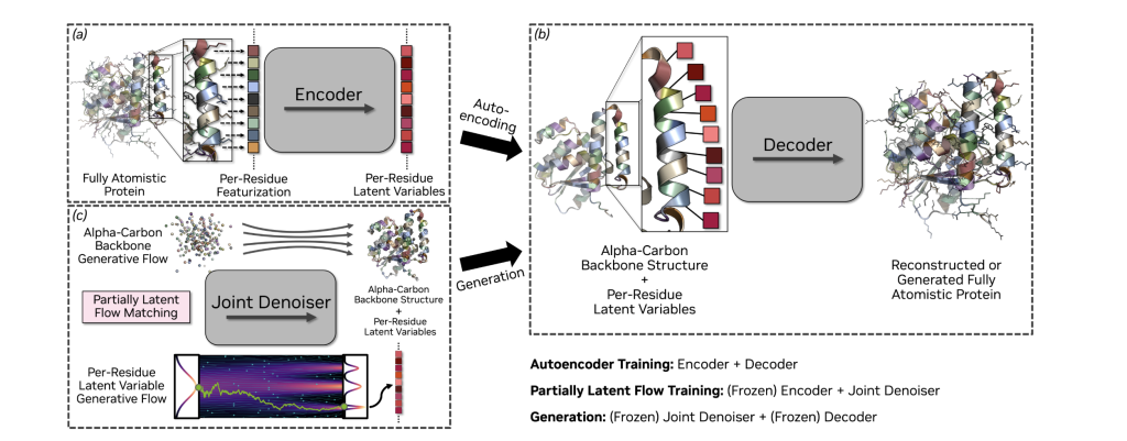 Nvidia La-Proteina Designs 800-Residue Proteins La-Proteina is a protein modeling system with three main components: an encoder that converts input proteins into latent representations for each residue, a decoder that reconstructs the full atomic structure and amino acid sequence from these latents and the alpha-carbon backbone, and a joint denoiser that enables generation of entirely new proteins by creating novel backbone structures and latent variables together. The system uses a two-stage training process and is built entirely using transformer architecture throughout all its networks.RetryClaude can make mistakes. Please double-check responses.