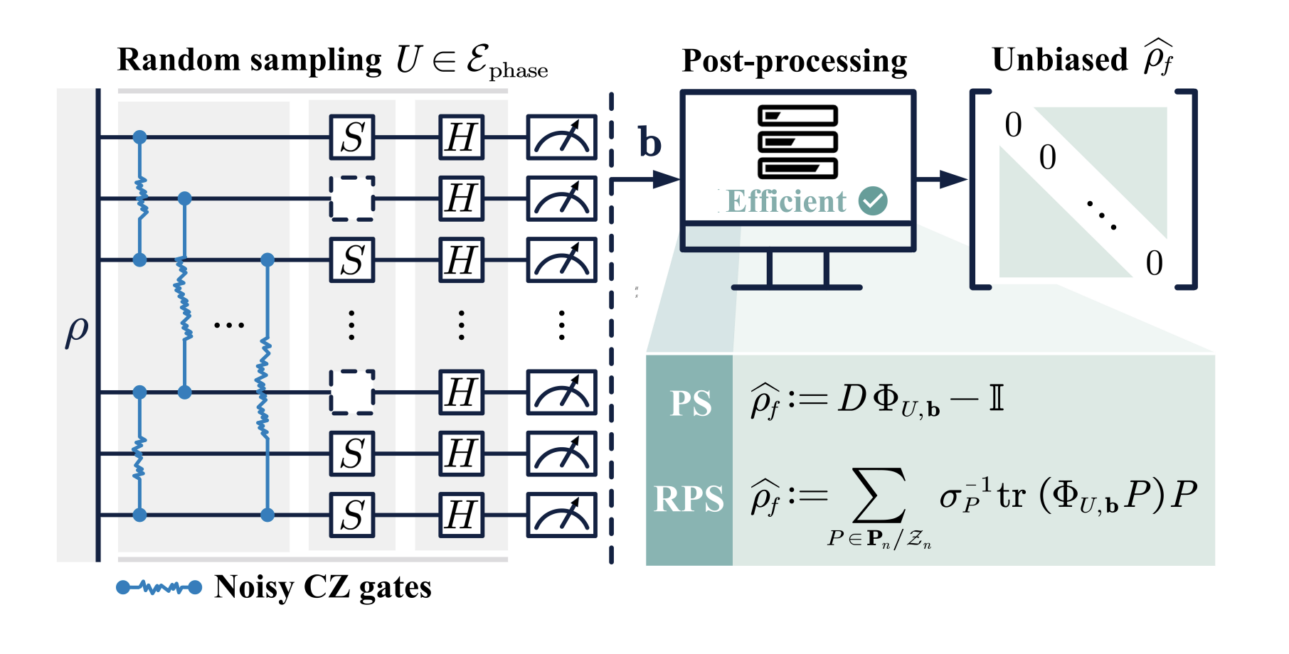 Phase Shadows Enable Robust Quantum State Estimation with Limited-Connectivity Qubits